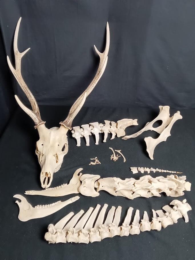 空飛ぶ画家糸川裕志の絵画 油絵、ポップアートの富士山曼荼羅の一点