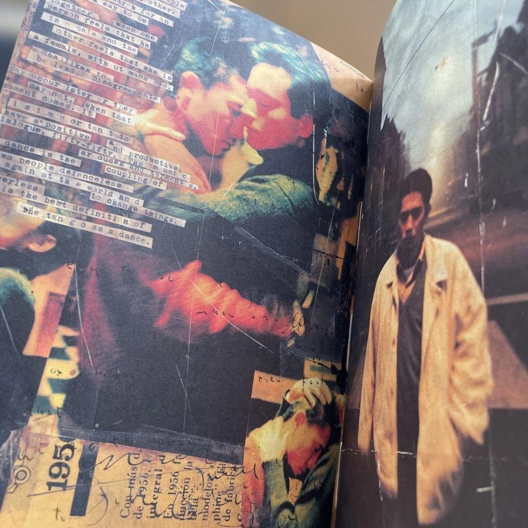 春光乍洩 / happy together /ブエノスアイレス 写真集