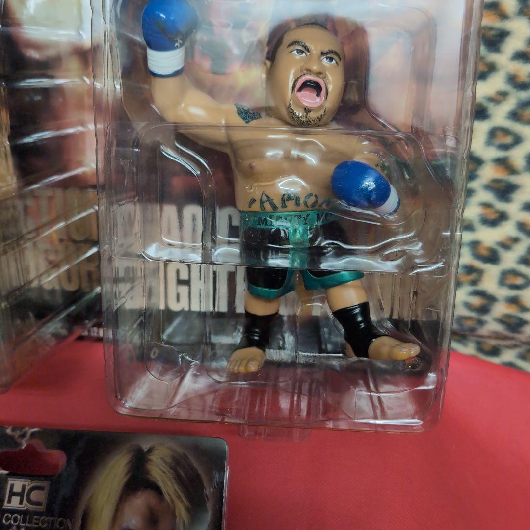 バダ・ハリ*ジョシュ・バーネット*マイティー*　マーク・ハント*チェ・ホンマン