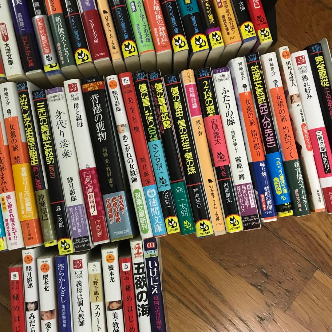 官能小説まとめ売り⑧ 66冊　フランス書院その他あり