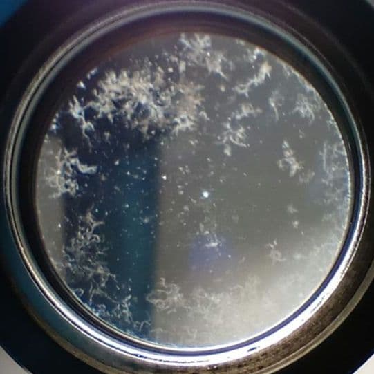 《希少》YASHICA AUTO YASHINON DS-M 50mm F1.4