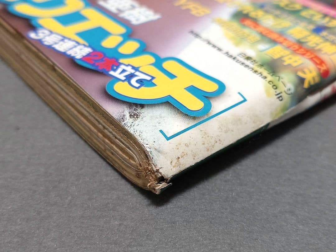 ヤングアニマル1999年2号ベルセルク第134話/浅倉めぐみ表紙&水着グラビア