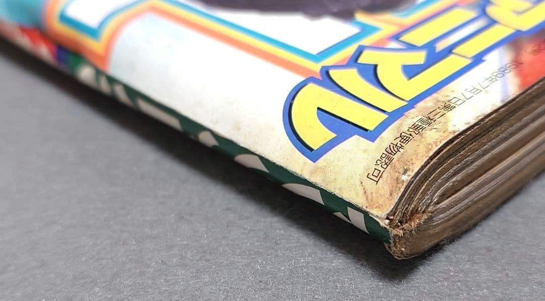 ヤングアニマル1999年2号ベルセルク第134話/浅倉めぐみ表紙&水着グラビア