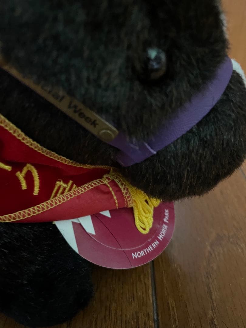 第65回 日本ダービー スペシャルウィーク （ネームプレー