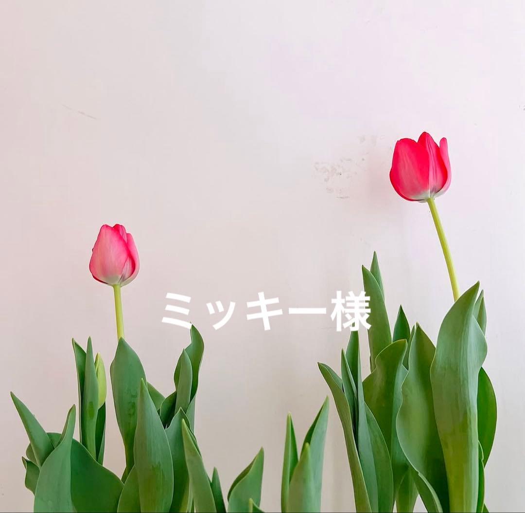 ミッキー様　ブリリアントレフィル　サンスクリーン ミッキー様 ブリリアントレフィル サンスクリーン