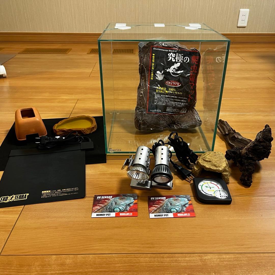 爬虫類 飼育セット11点 カナヘビ ニホントカゲ - メルカリ