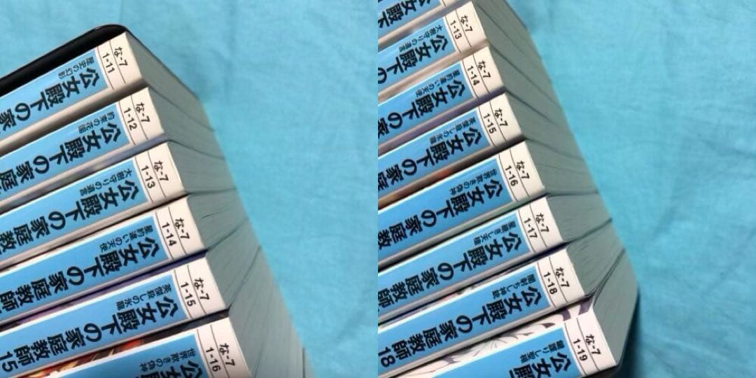 【初版帯付】公女殿下の家庭教師 〜19