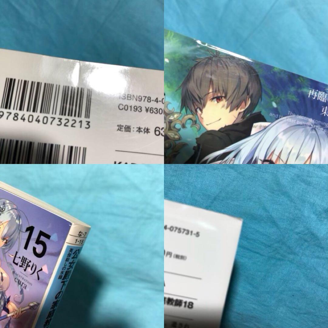 【初版帯付】公女殿下の家庭教師 〜19