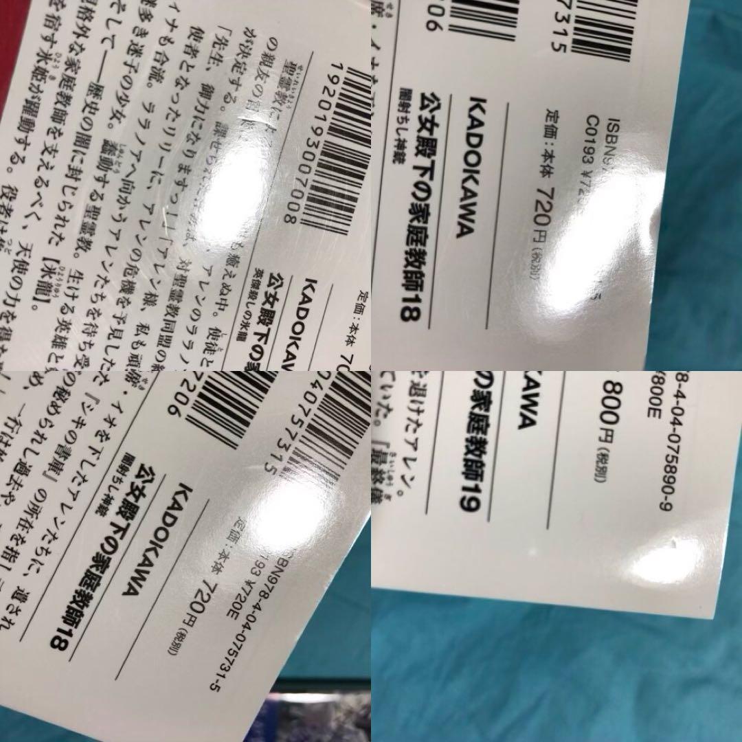 【初版帯付】公女殿下の家庭教師 〜19