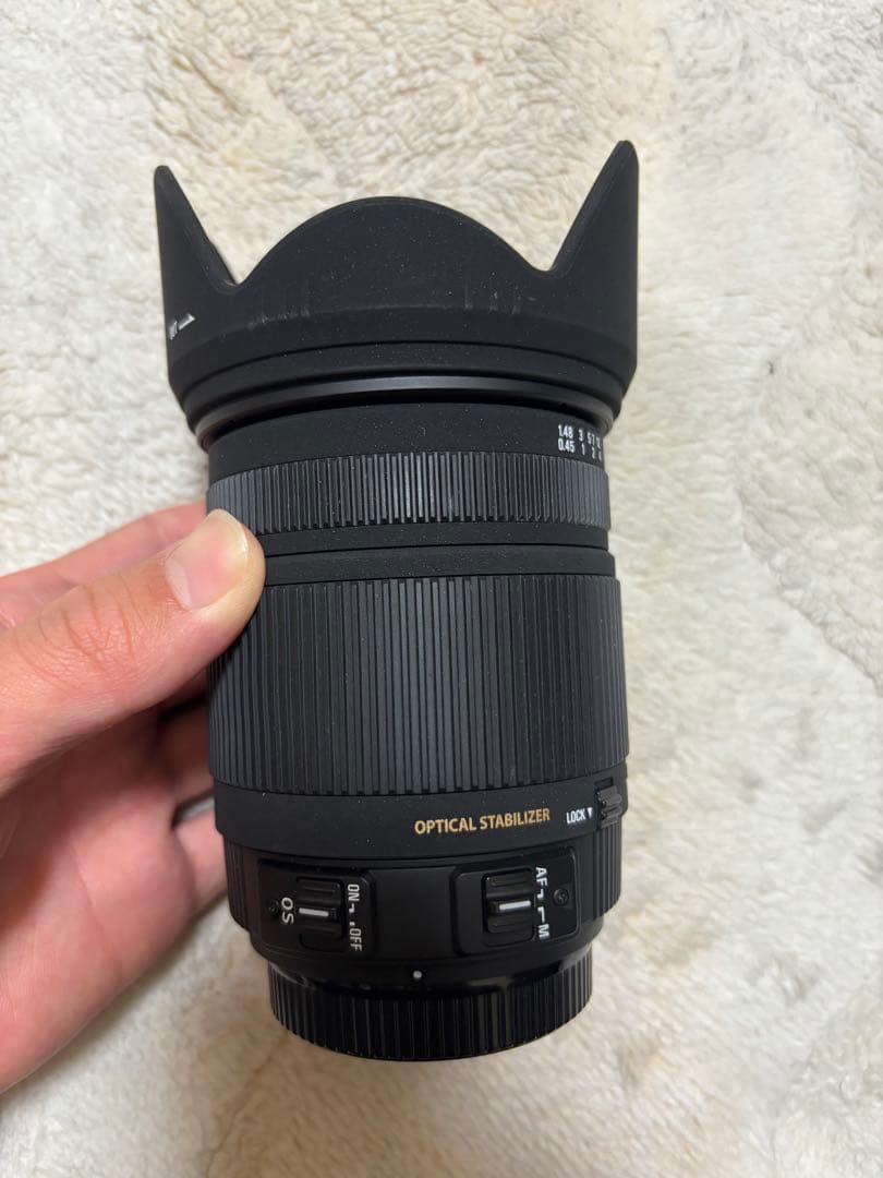 【最終値下げ❗️】SIGMA 18-250mm F3.5-6.3 DC sony用