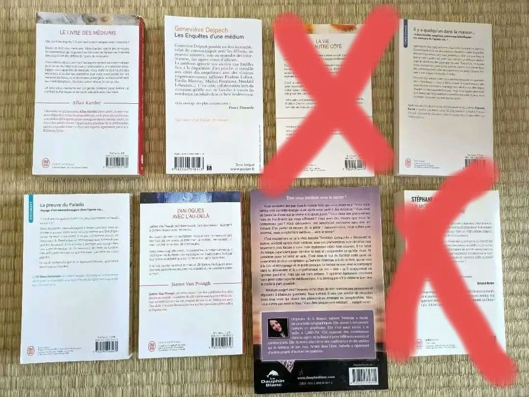 フランス語の本6冊セット、テーマ→精神性、心霊術、臨死体験、死後の世界、霊媒