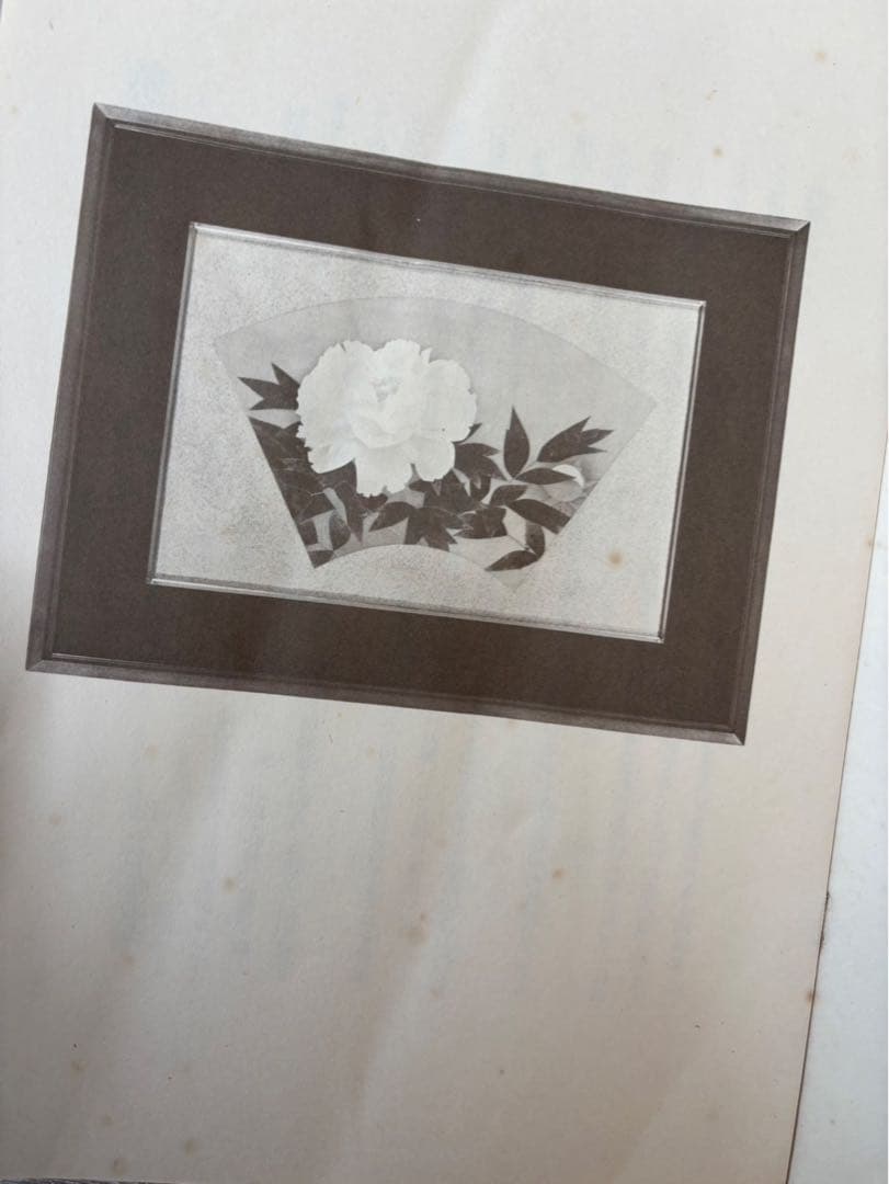 上村松篁 / 牡丹】四季 木版画 絵画 280部限定 36番 - メルカリ