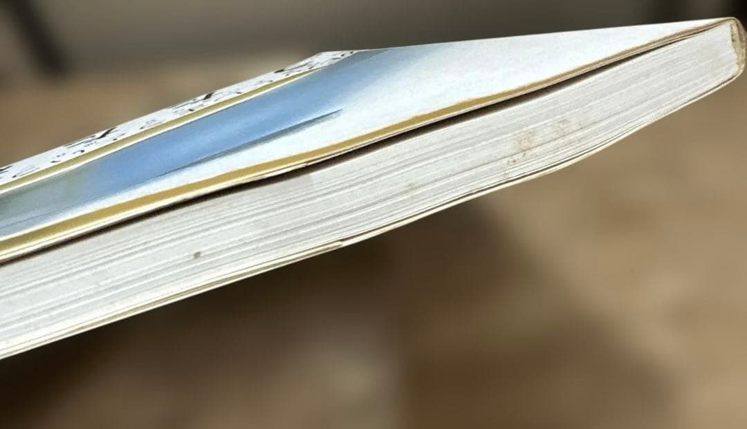 川内倫子 うたたね 写真集 初版 （ポストカードつき）