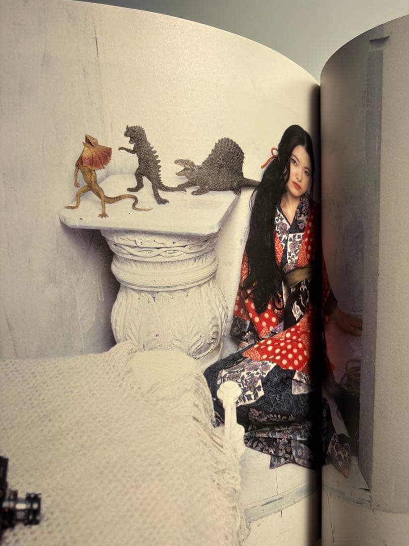 Photographica Vol.12 2008 荒木経惟 Kaori - メルカリ