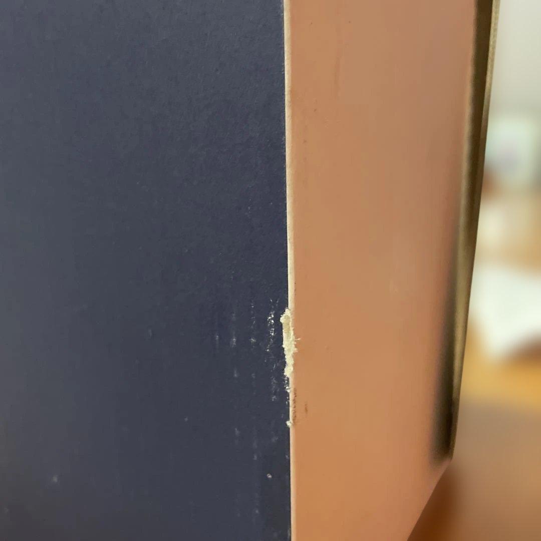 asics 東京2020オリンピック公式ライセンス商品 安全靴 25.0cm