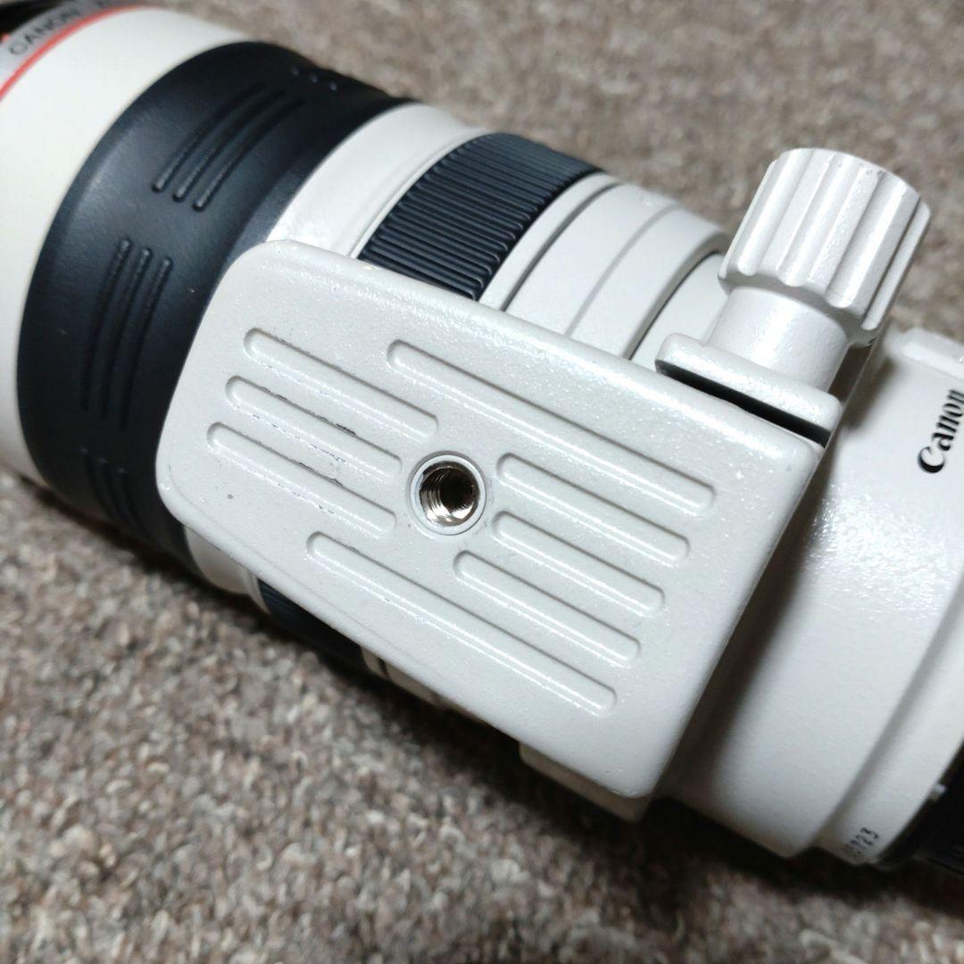 Canon EF 35-350mm F3.5-5.6 L USM　美品