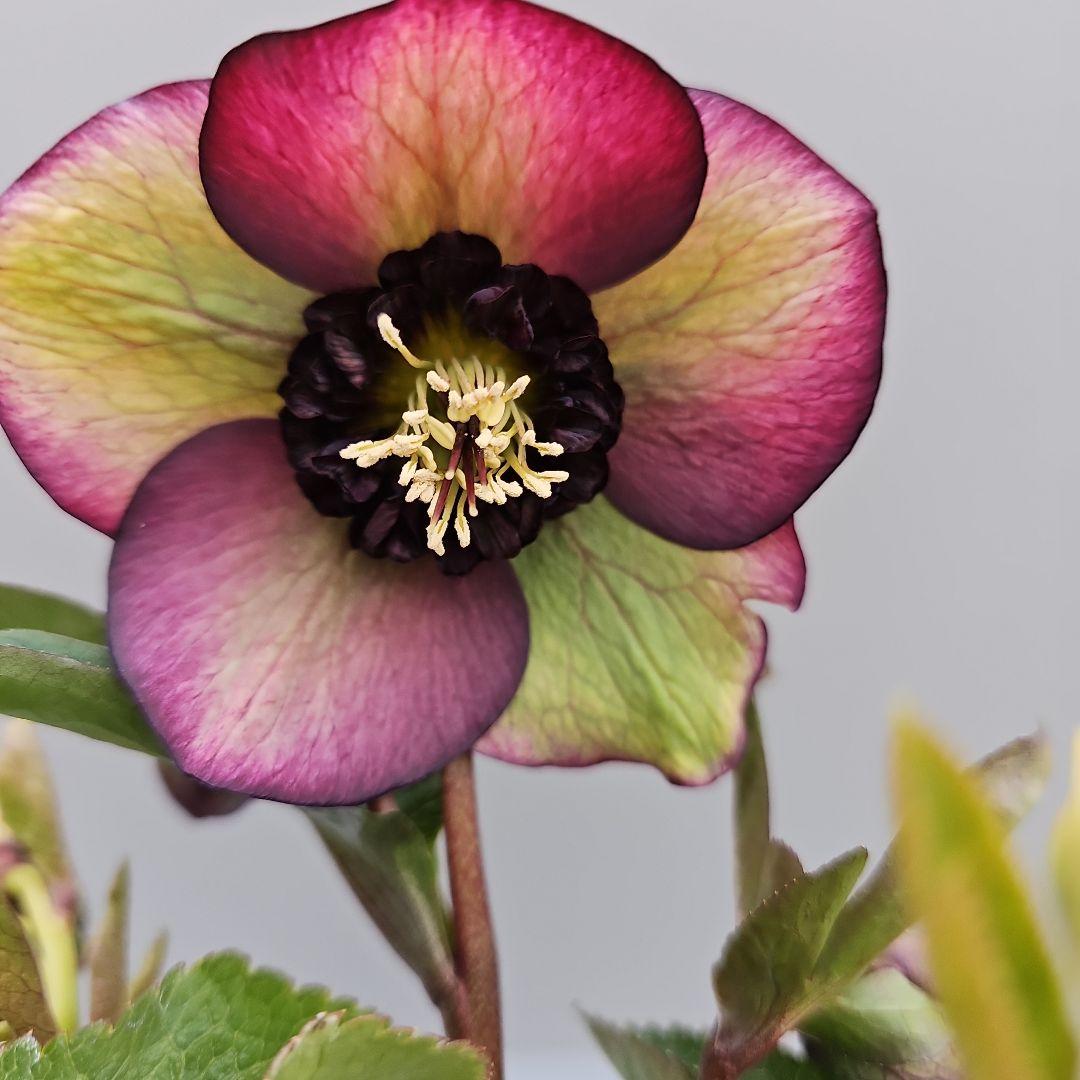 sunshine様 リクエスト 3点 まとめ商品