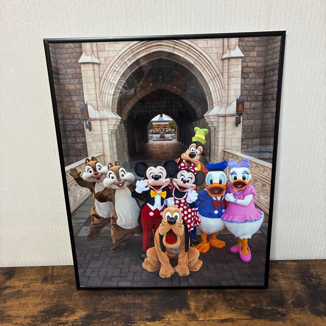 ディズニー イマジニングザマジック 実写 フォトパネル ポスター 額入り