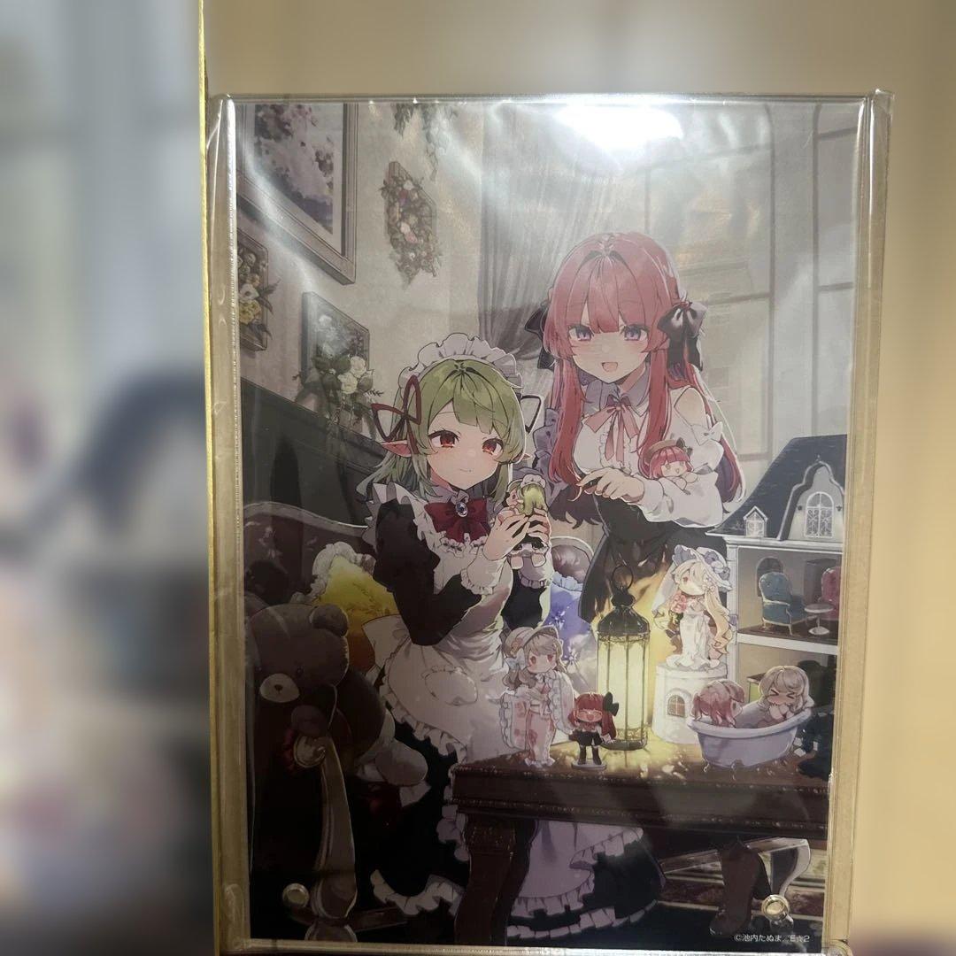 池内たぬま 直筆サイン入り画集 色紙 アクリルプレート クリアファイル