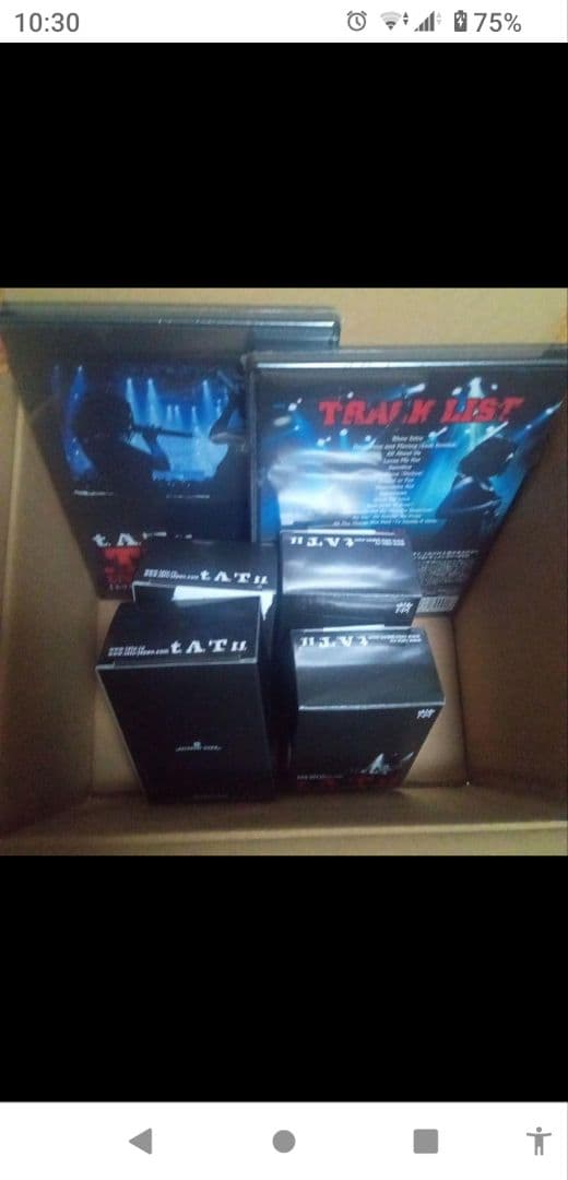 Tatiana 様用 t.A.T.u. DVD➕️フィギュア２体✖️ 2セット