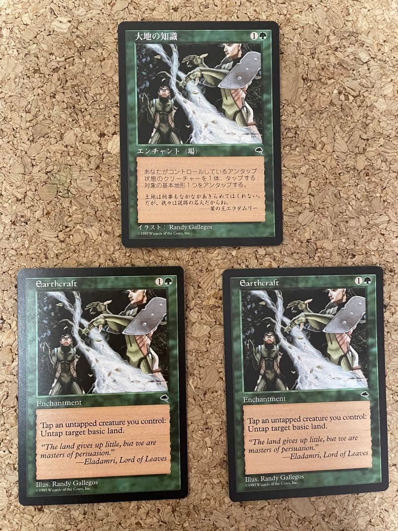 MTG 大地の知識 2枚セット