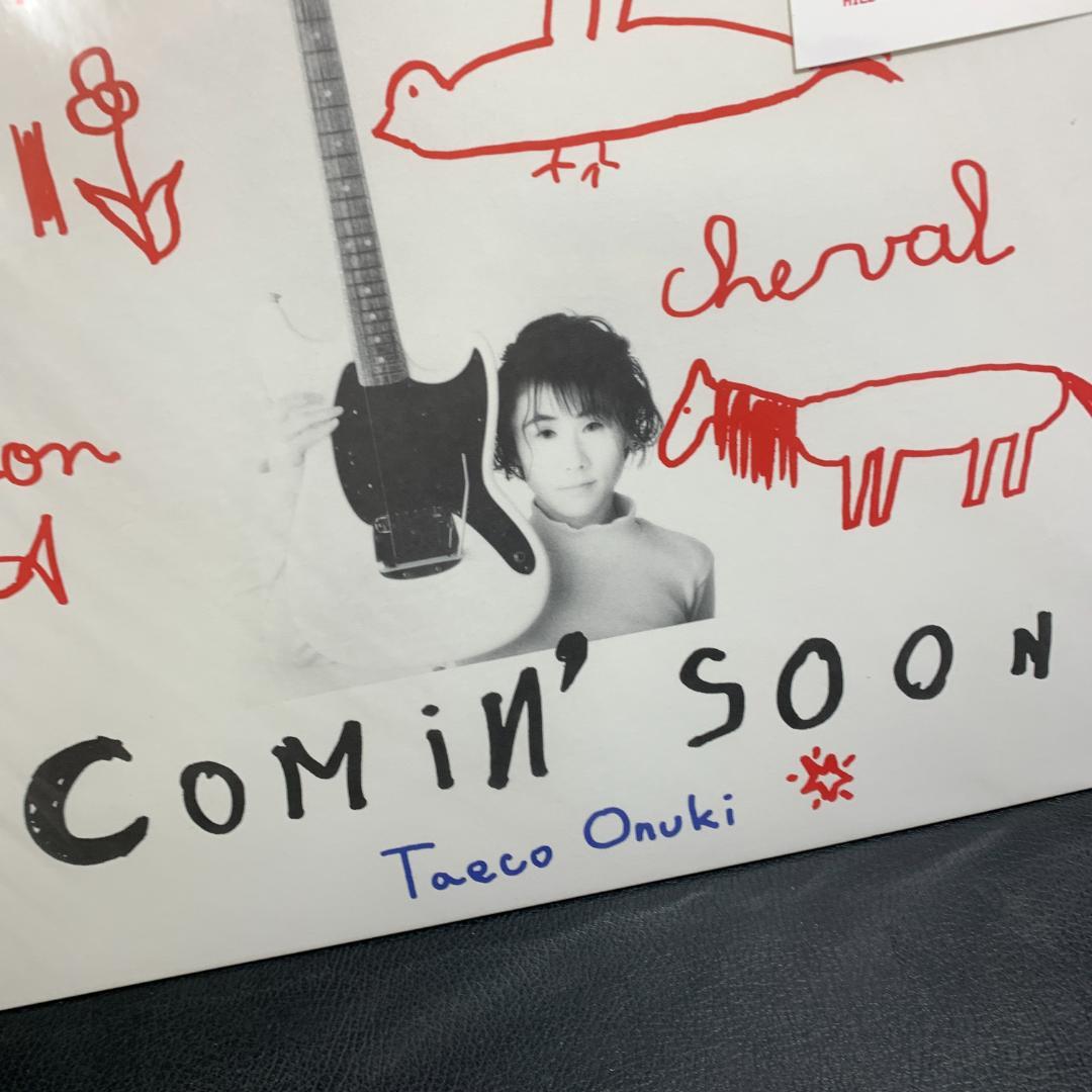 見本版 非売品 大貫妙子 Taeco Onuki カミングスーンLP 絵本 - メルカリ