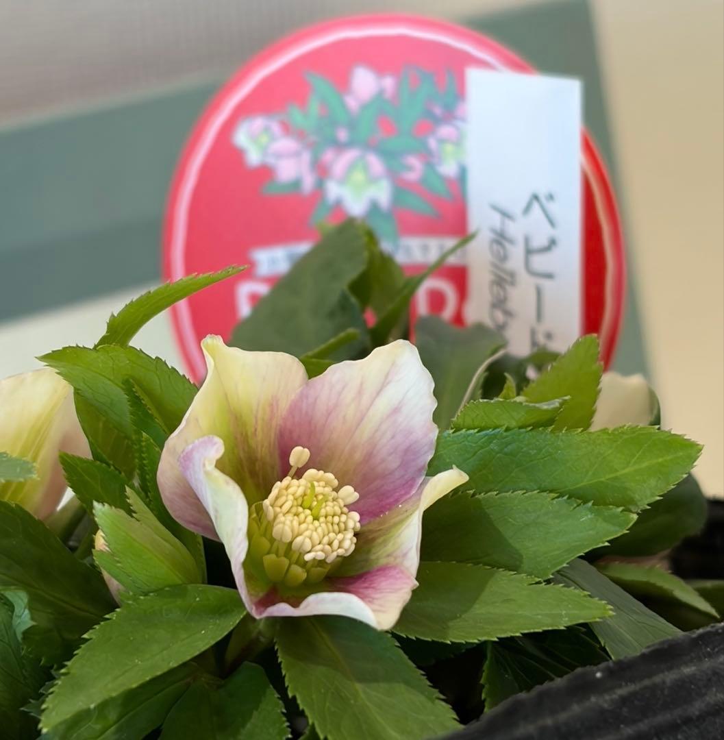 まい様　リクエスト　おまとめ2点