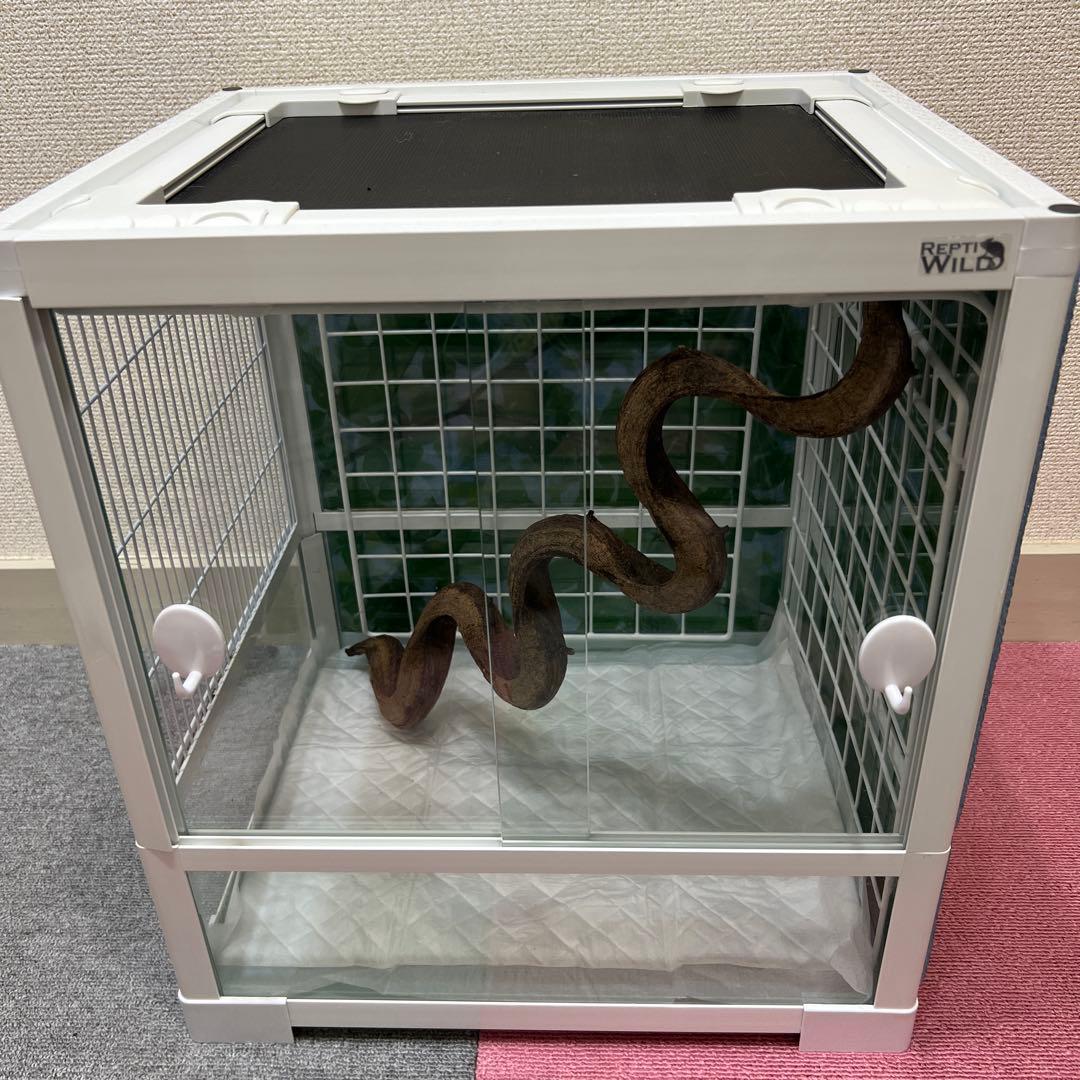 ♡sniper様♡専用♡ Test day starts tomorrow Kawasaki Ninja ZX-25R #SNIPER #スナイパー