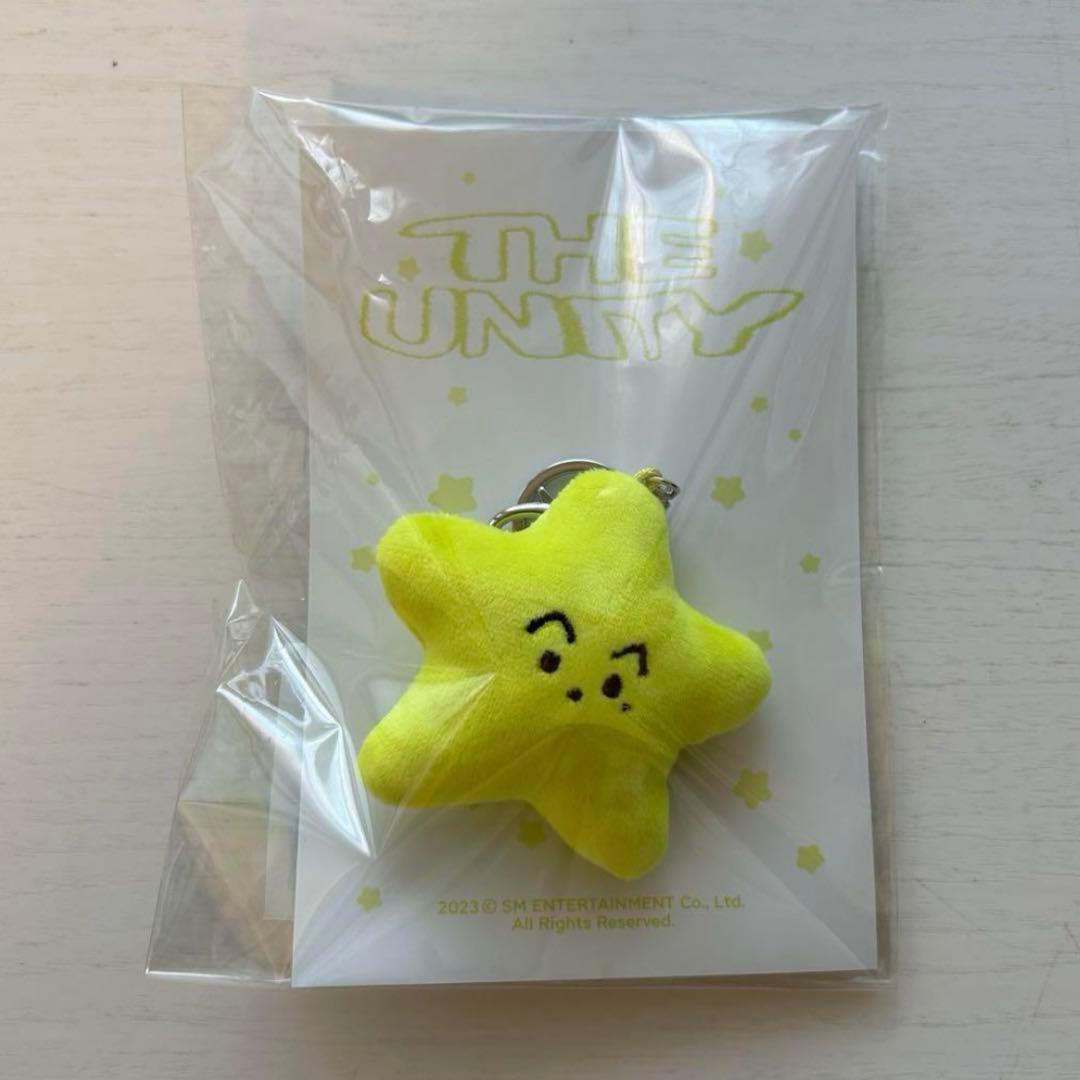 NCT127 イリチル THE UNITY ヒトデ キーリング マーク NCT127 イリチル ヒトデ キーリング マーク UNITY USED美品 - メルカリ
