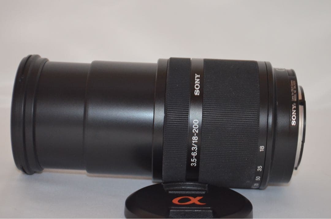 【美品】ソニー SONY DT 18-200mm F3.5-6.3 SAL