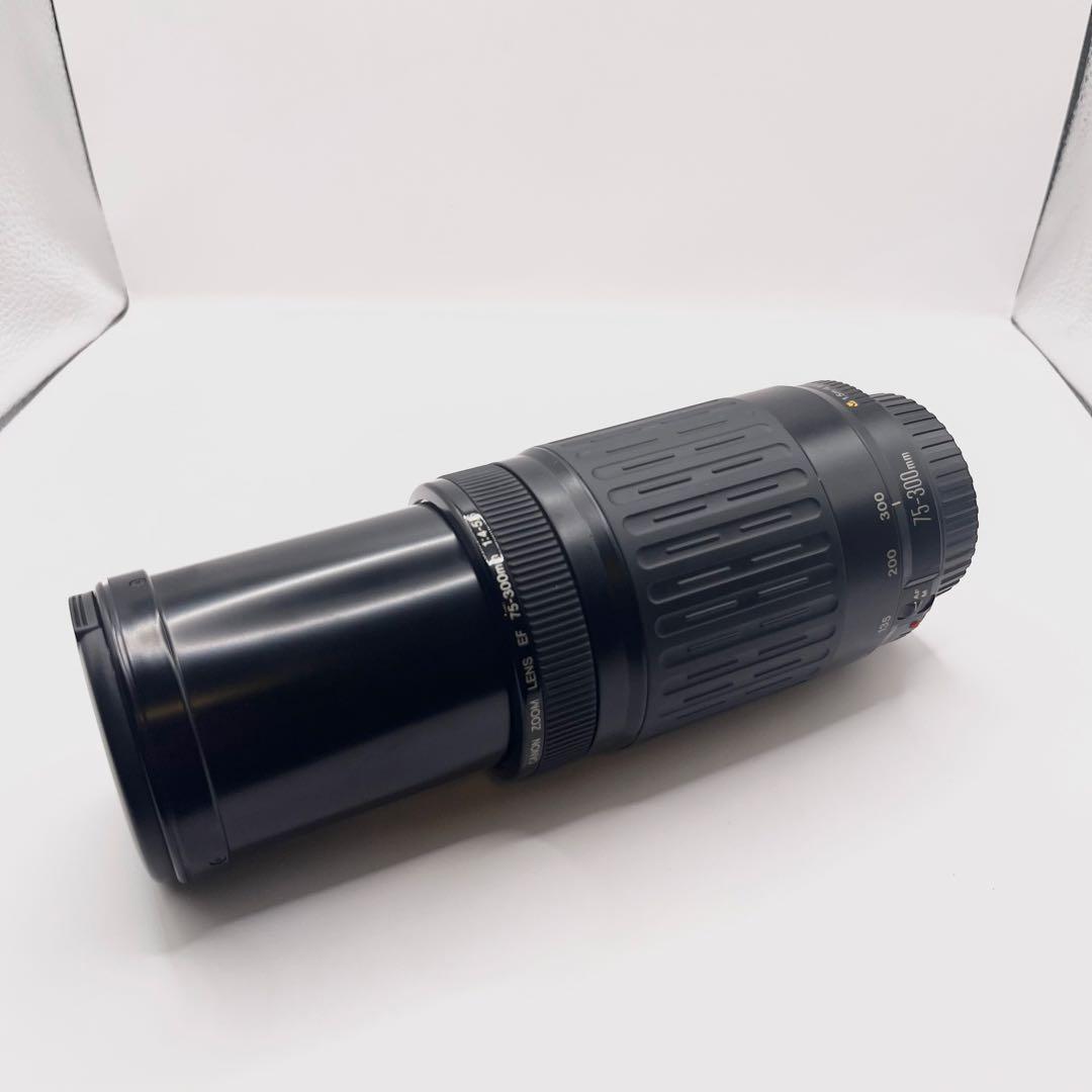 【美品】超望遠レンズ CANON EF 75-300mm F1:4-5.6