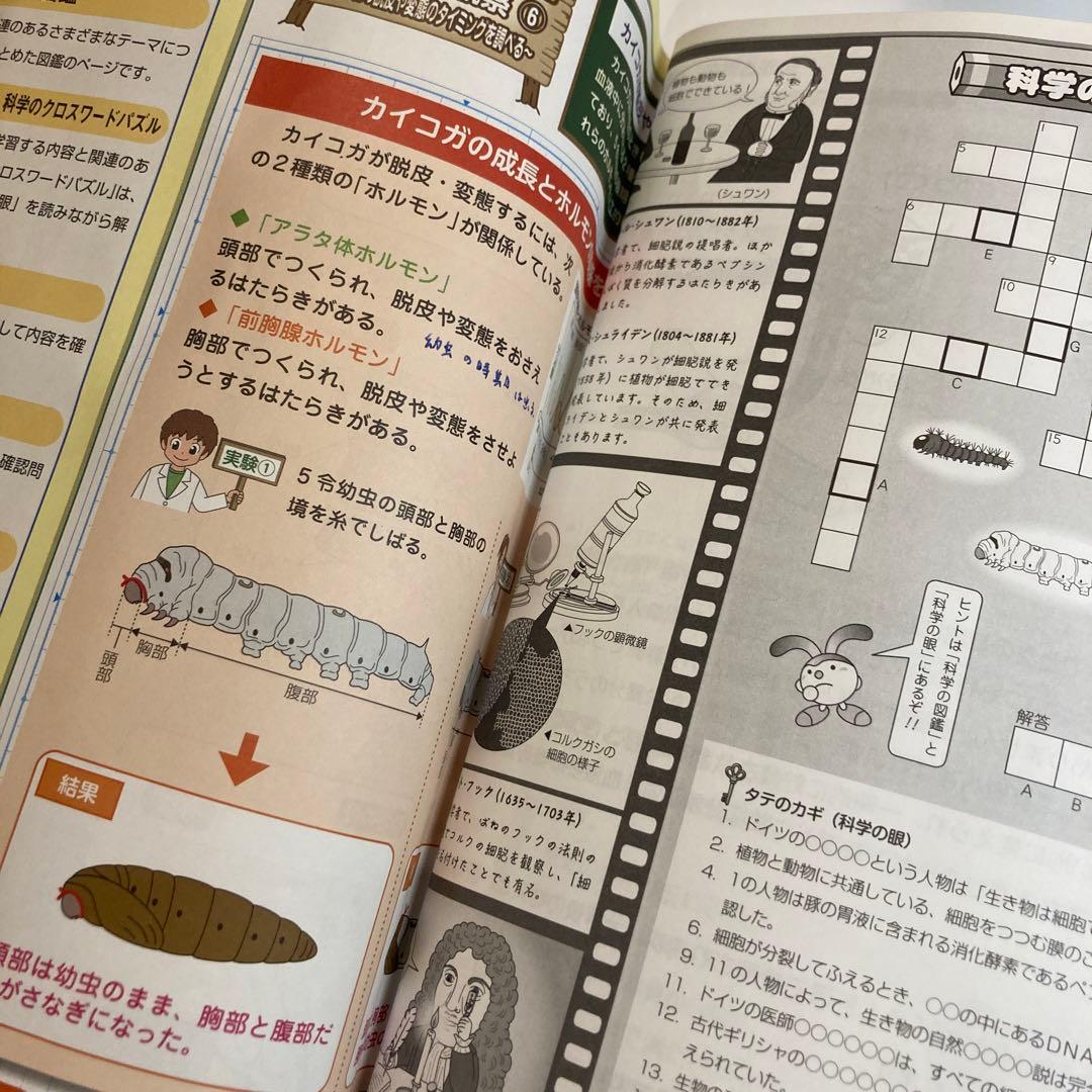 SAPIX 理科6年 後期 デイリーサピックス - メルカリ