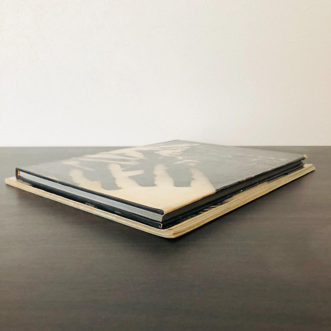 若林のぶゆき 写真集 セット アッ とびだした女たち アダムとイヴ