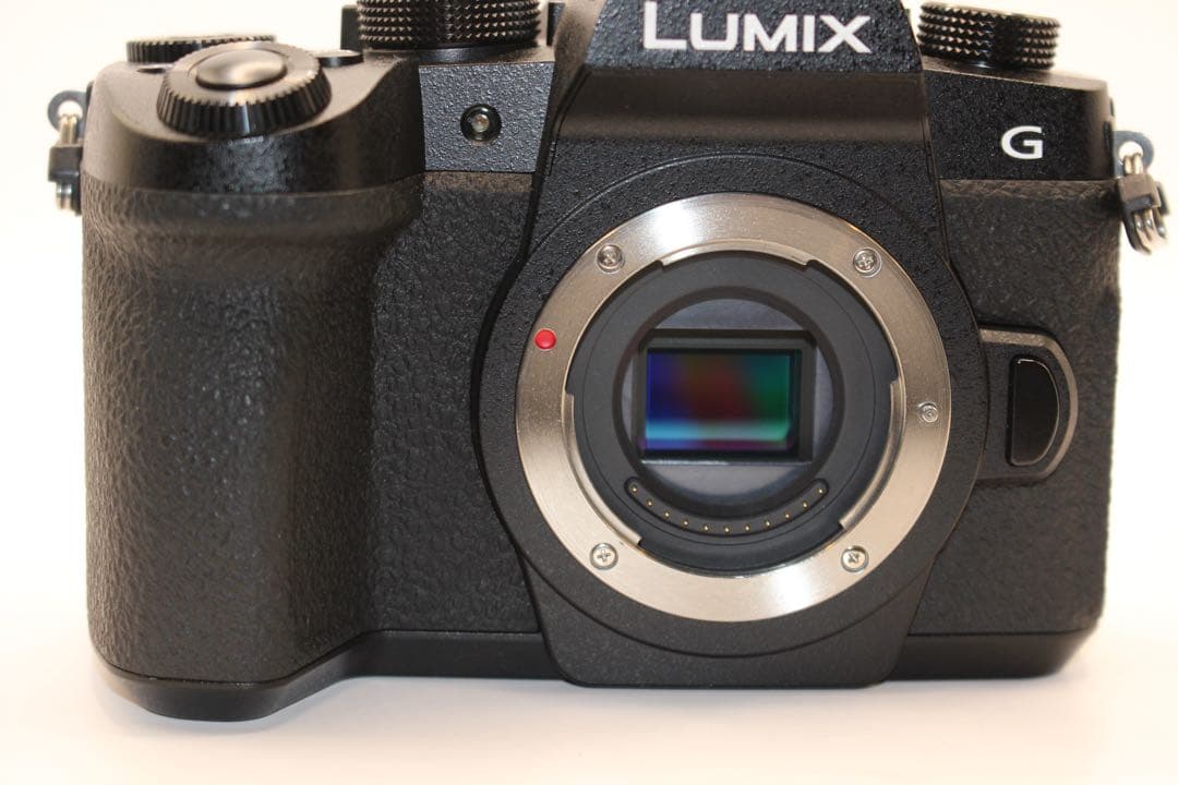 ☆ショット数9289回☆ LUMIX DC-G99 ボディ ミラーレス - メルカリ