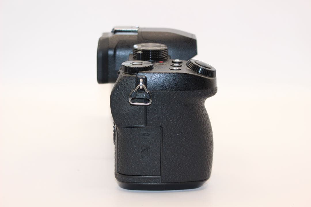 ☆ショット数9289回☆ LUMIX DC-G99 ボディ ミラーレス - メルカリ