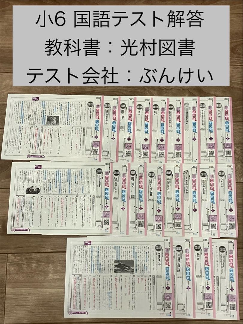 小6 国語 カラーテスト こたえ・てびきシート 1年分 - メルカリ