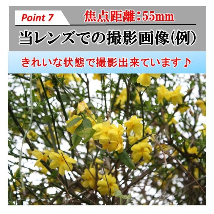 キヤノン レンズ EFS 18-55mm f3.5-5.6 IS Ⅱ #7345