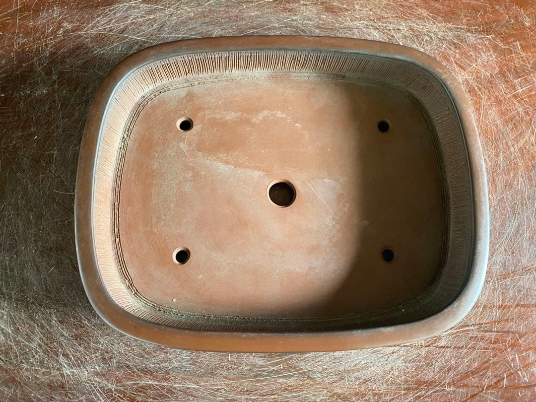 白木盆栽園 峰輝堂 盆栽鉢 横24.3センチ 鉢和鉢盆栽趣味陶器盆器植木鉢