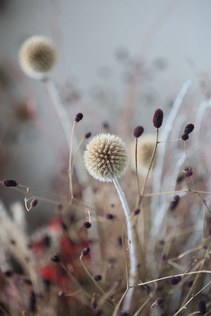 《銘玉》TAMRON SP 90mm F2.5 52B 【光学美品】