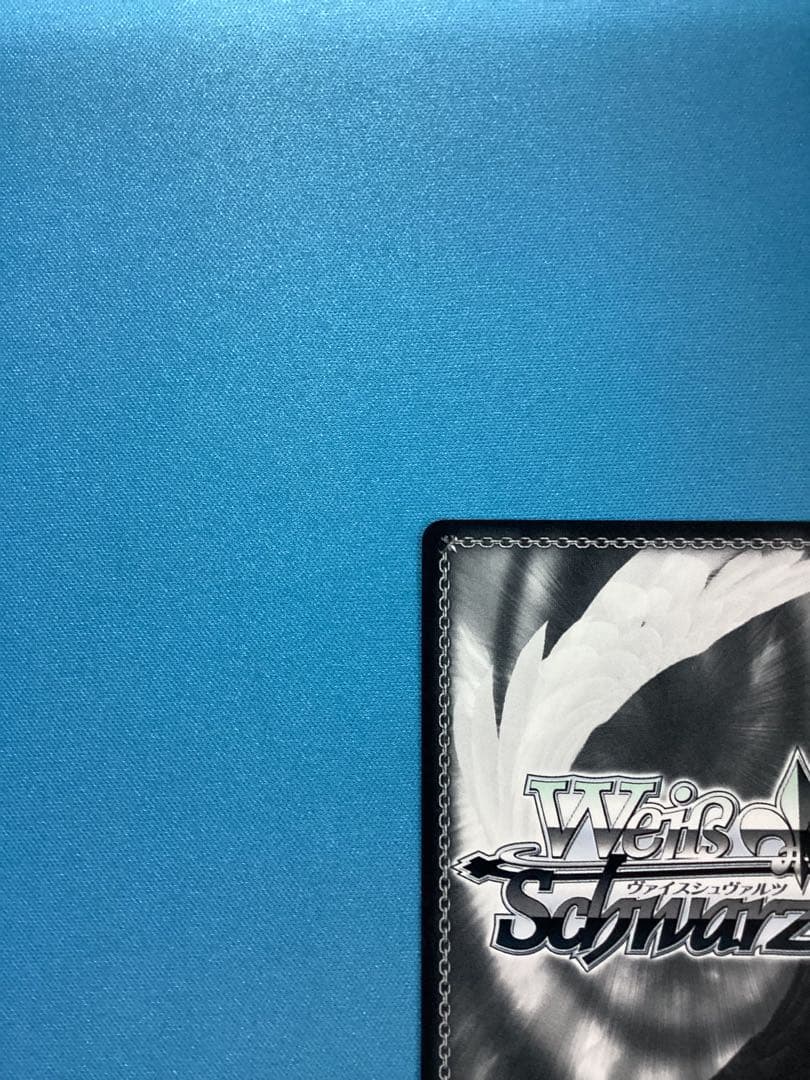 WS 白い稲妻 タマモクロス SSP サイン - メルカリ