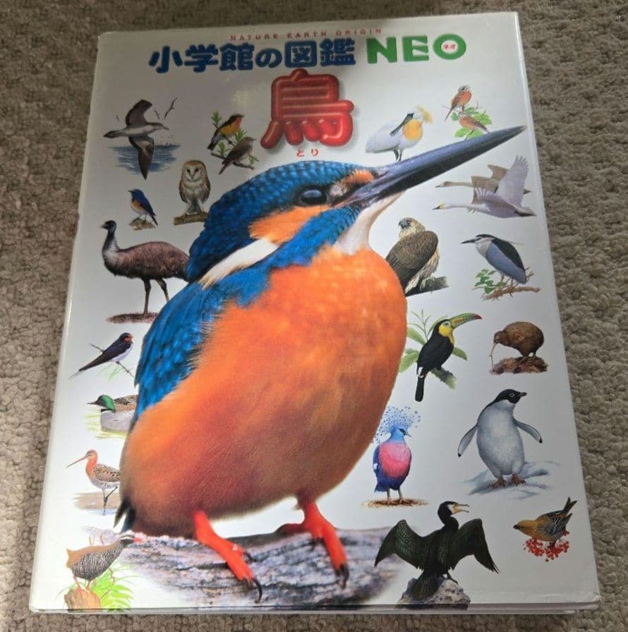 図鑑１８冊まとめ売り