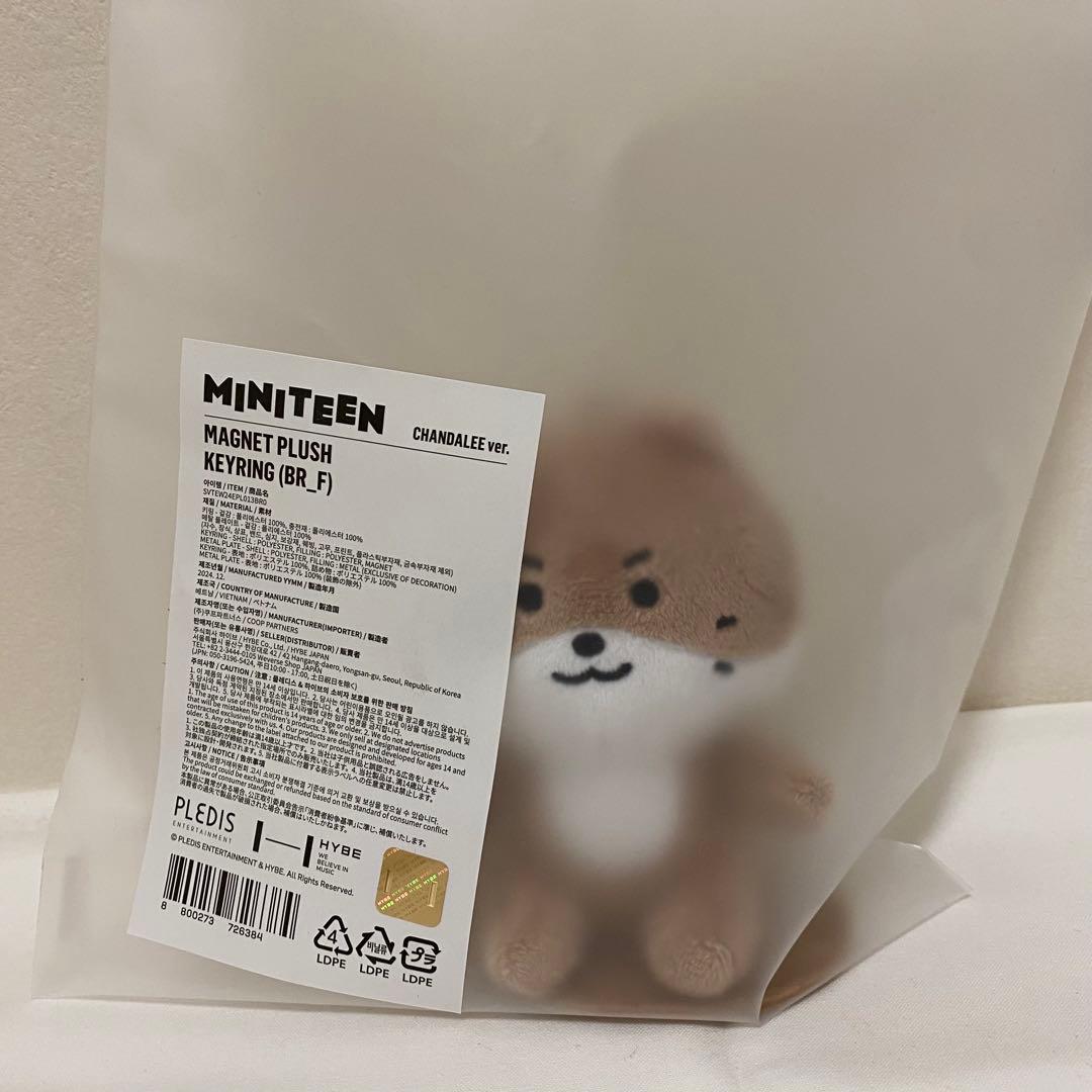ミニティーン　ディノ　チャンダリ SEVENTEEN ミニティーン マグネットキーリング ディノ チャンダリ