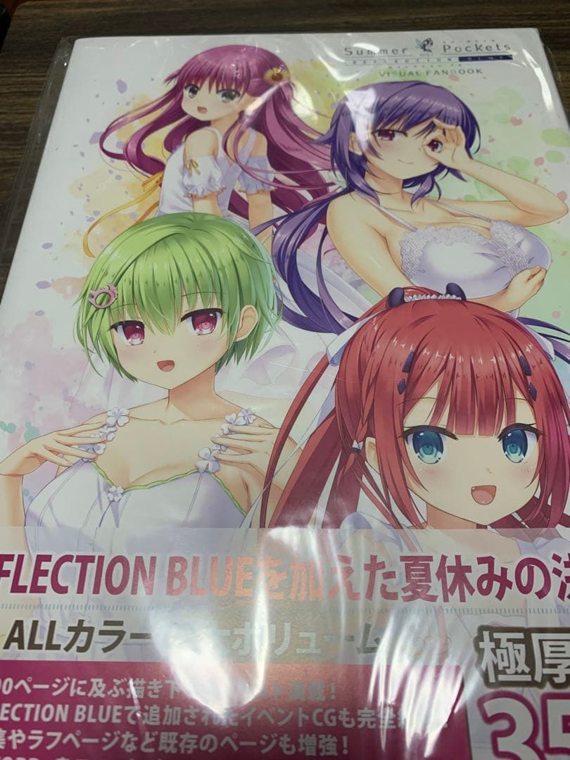 summer pockets ビジュアルファンブック ビジュアルファンブック】Summer Pockets REFLECTION BLUE VISUAL FAN