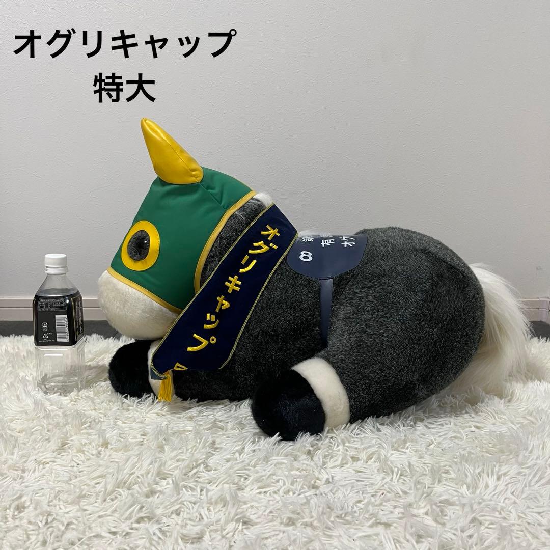 稀少2Lサイズオグリキャップアバンテ特大AVANTI 有馬記念ぬいぐるみ