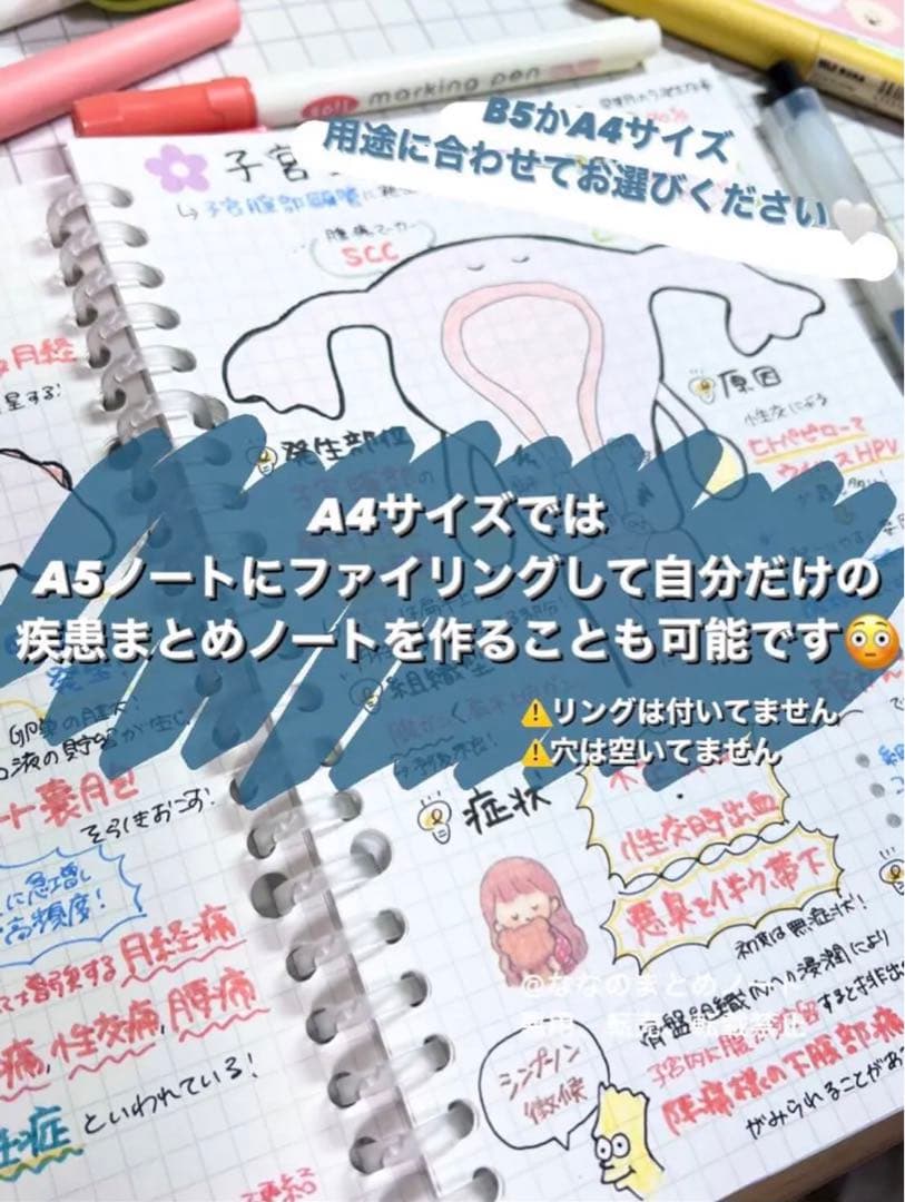 A4サイズ】解剖生理+重要項目+頻出疾患まとめノート 3セット - メルカリ