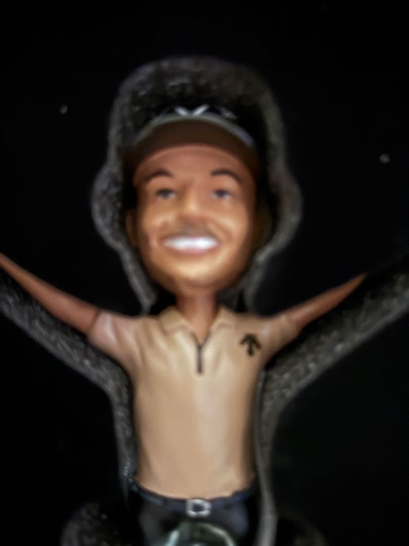 非売品】デサントゴルフ購入プレゼント品。サンダー・シャウフェレ