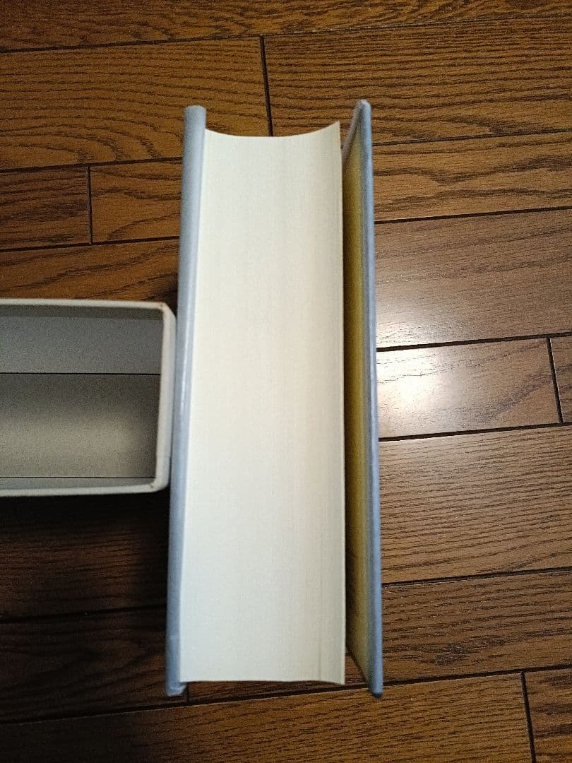 仏教思想の研究 佐藤義亮著