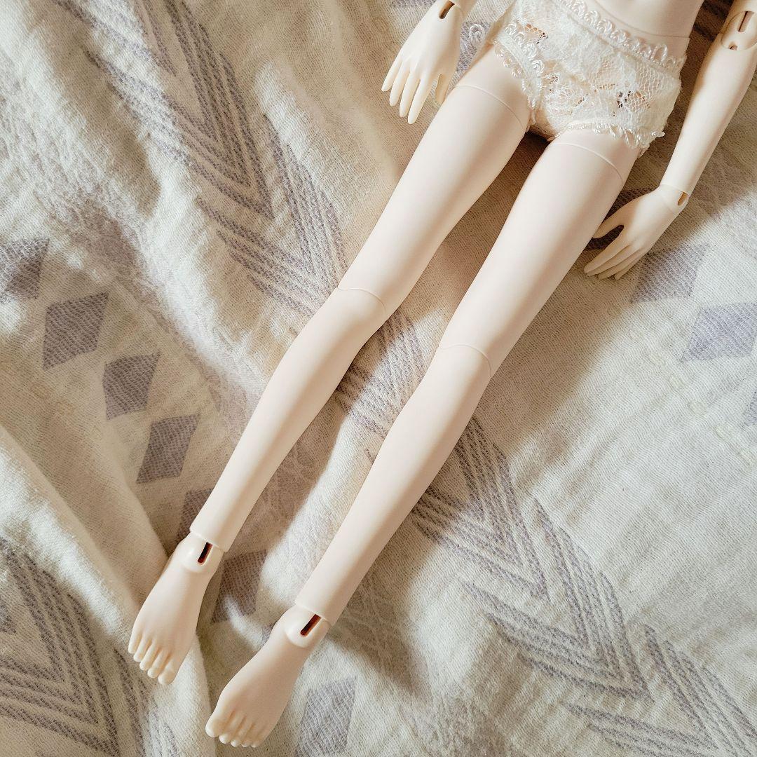 お値引き中　Myoudoll 文学少女 Delia 1/4 SDMサイズ