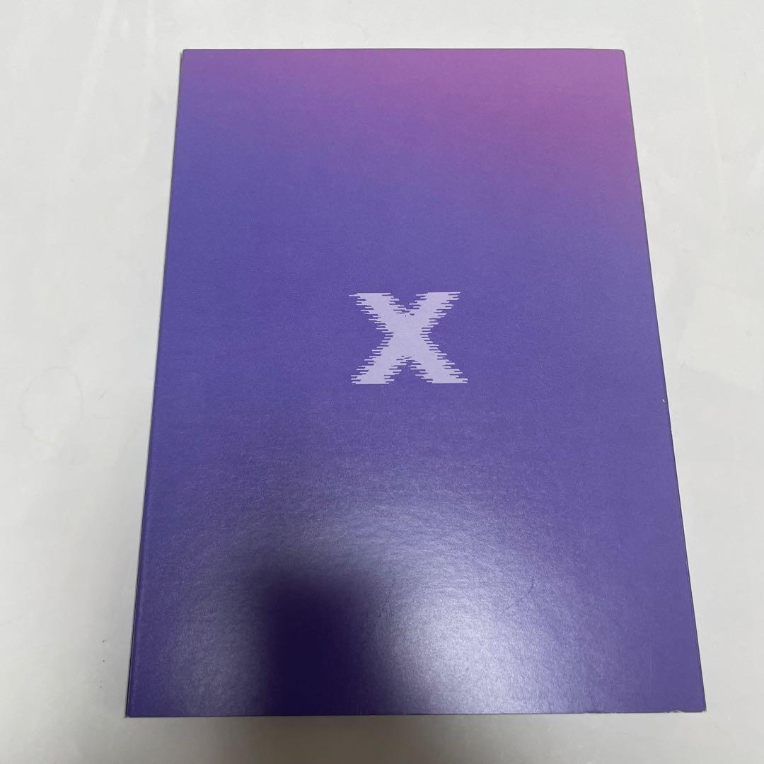 ★公式　美品★「IN THE X」DVD ソイングク