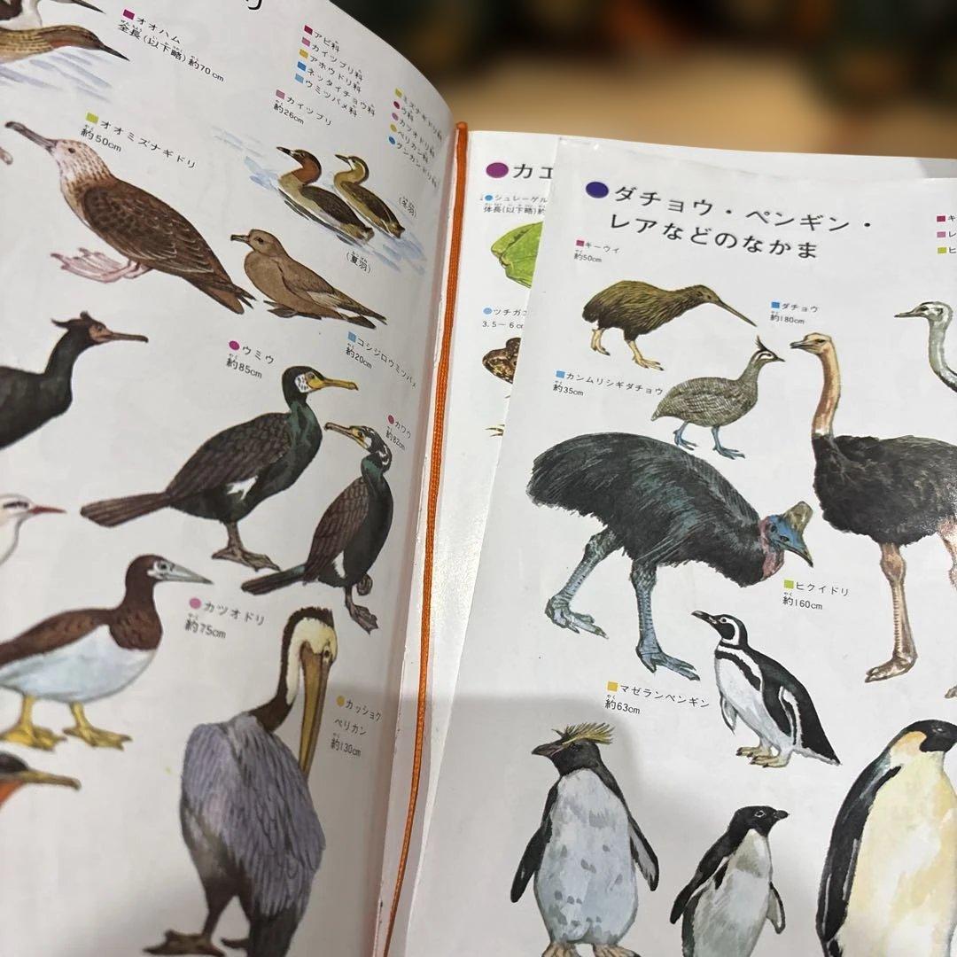 学習百科大辞典 アカデミア　全24巻